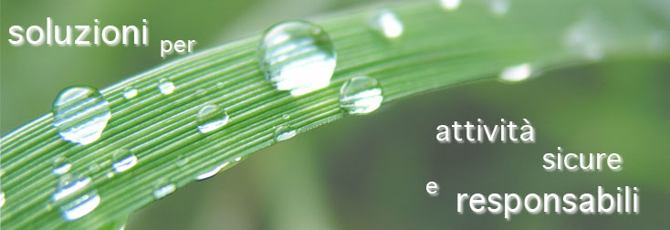 Ingegneria @ Ambiente - Soluzioni per attivitą sicure e responsabili